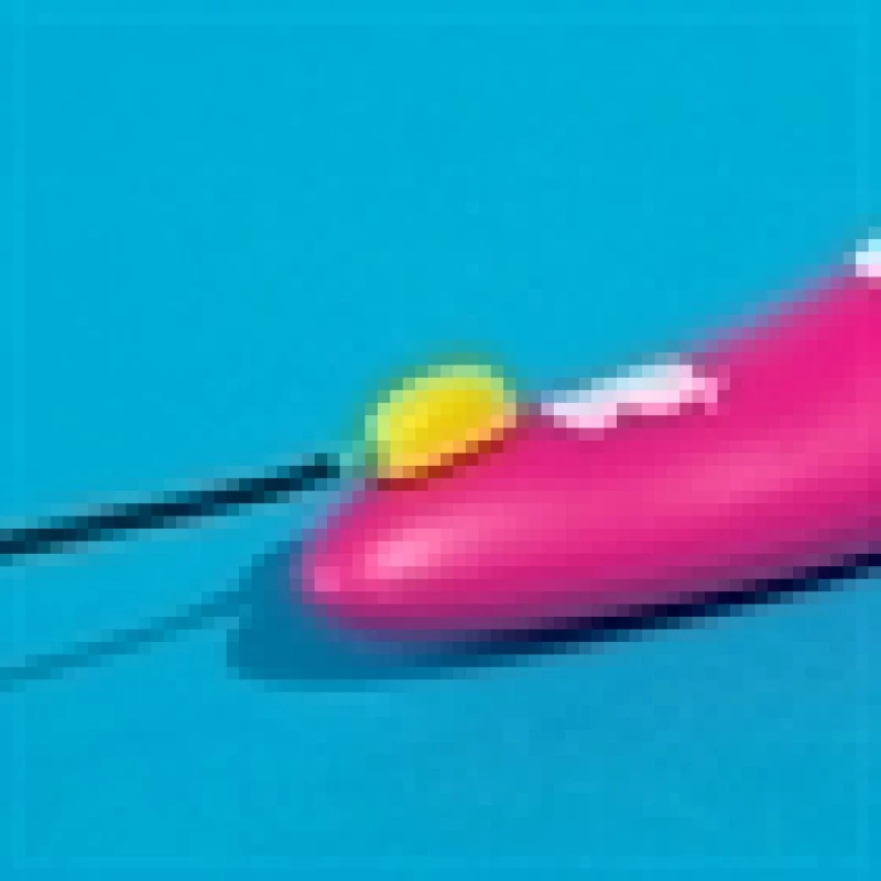 ROMP SHINE 4 ROMP SHINE – Image 2