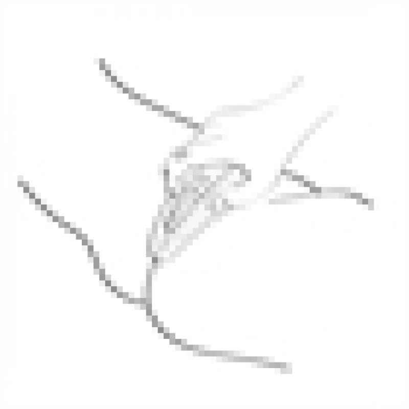 SHUNGA - OBI - FRAMBOISE 7 SHUNGA - OBI - FRAMBOISE – Image 5