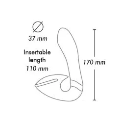 SHUNGA - SOYO - ROSE