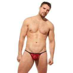 GREGG - COCKRING À CORDES STARR