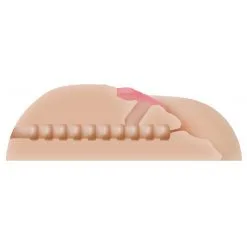 KENDRA LIFESIZE VAGINA WITH ASS - FLESH -Vibrateurs boutique ev009971 5