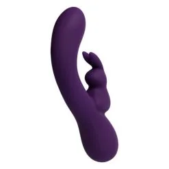 VEDO - KINKY BUNNY PLUS - MAUVE -Vibrateurs boutique kinkybunnyplus 2627c 1 1 1 2048x2048