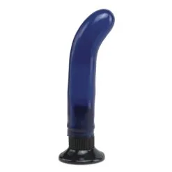 W/P G-SPOT WALLBANGER - BLUE -Vibrateurs boutique pd1365 14 02