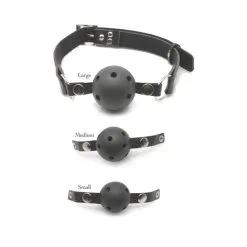 FF BALL GAG TRAINING SYSTEM -Vibrateurs boutique pd3841 00 02