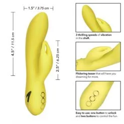 California Dreaming™ Venice Vixen 14 California Dreaming™ Venice Vixen -Vibrateurs boutique se4350203 5