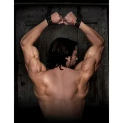 SR Command Bondage Door Cuffs -Vibrateurs boutique sr1040 3