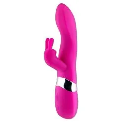 CHANI RECHARGEABLE ROSE -Vibrateurs boutique v0017 5