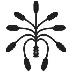 Zumba -Vibrateurs boutique v0153 7